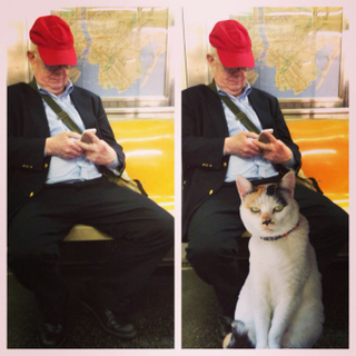 Illustration for article titled Men Who Take Up Too Much Room on the Subway Are Just Saving It for Cats